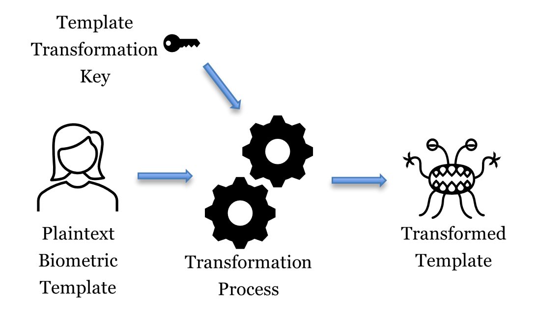 Figure showing the template generation process, that takes the plaintext biometric template and combines it with the template transformation key to create the transformed template.